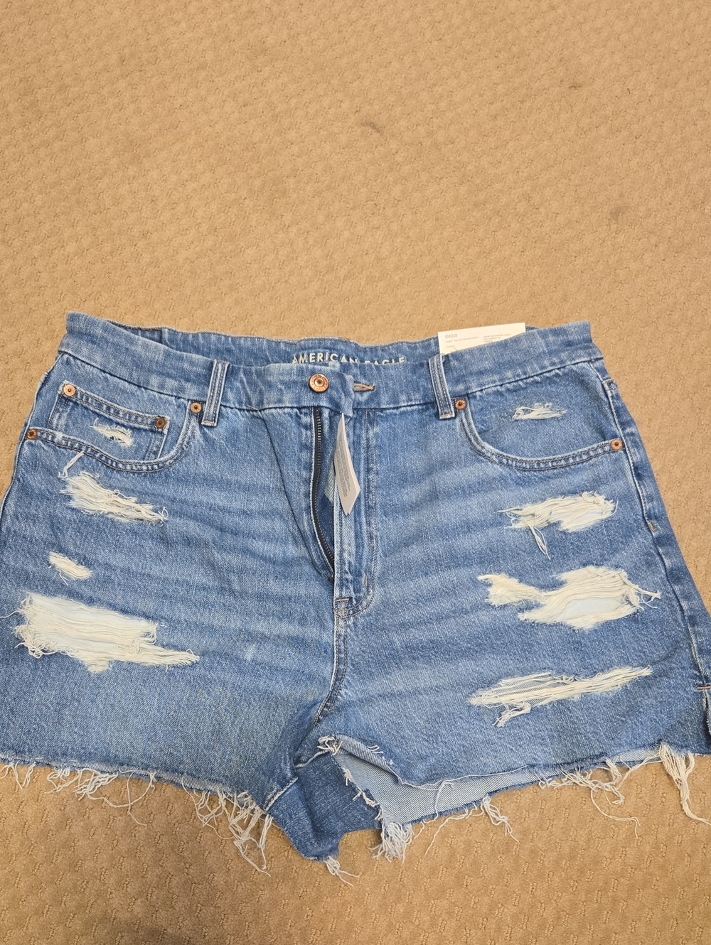 American Eagle Outfitters Light Blue Distressed Denim Cutoff Shorts